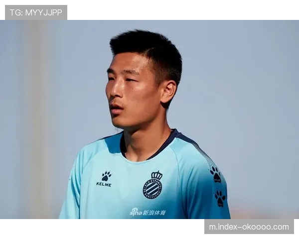 河南队外援前锋科维奇在热身赛中受伤，预计缺席联赛开局阶段